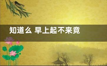 知道么 早上起不来竟是它在作祟！